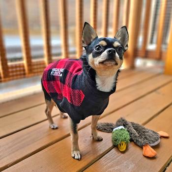 Highline Fleece Dog Coat - Red and Black Plaid