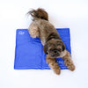 Self-Cooling Gel Pet Mat – Foldable & Non-Toxic
