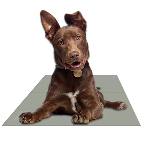 Self-Cooling Gel Pet Mat – Foldable & Non-Toxic