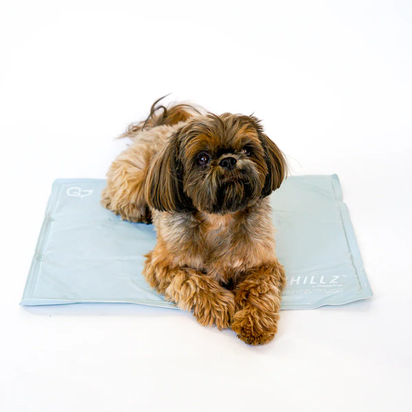 Self-Cooling Gel Pet Mat – Foldable & Non-Toxic