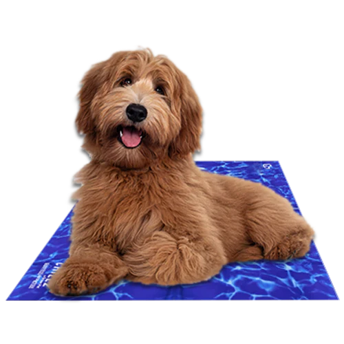 Self-Cooling Gel Pet Mat – Foldable & Non-Toxic