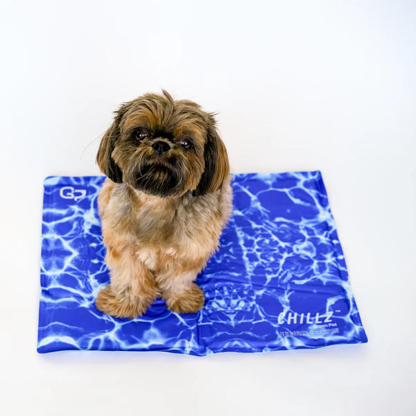 Self-Cooling Gel Pet Mat – Foldable & Non-Toxic