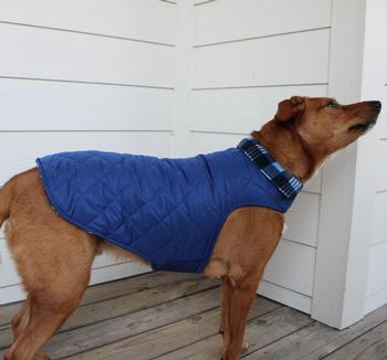 Reversible Fleece Lined Puffer Dog Coat - Blue Plaid