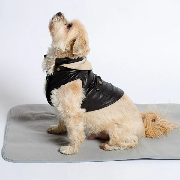 Washable Warming Pet Pad – No Plug Needed