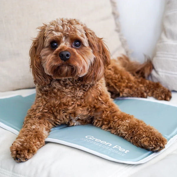 Cooling Pet Pad – No Freezing or Electricity
