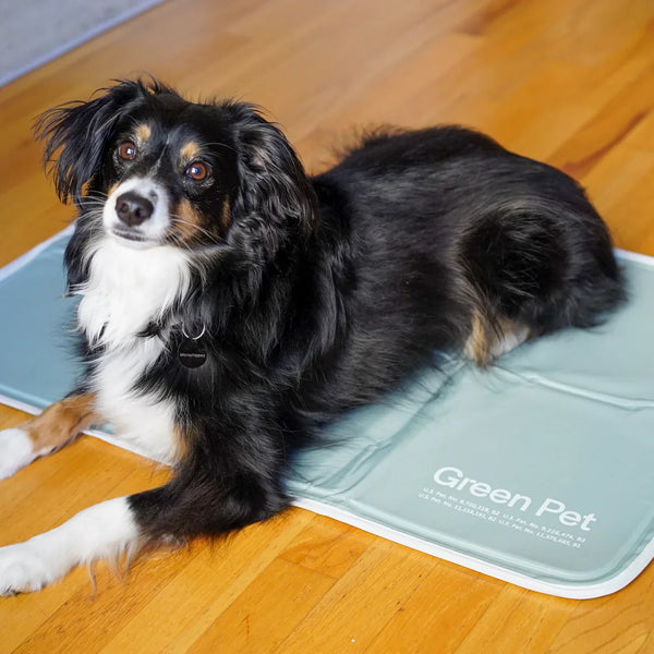 Cooling Pet Pad – No Freezing or Electricity