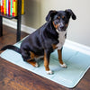 Cooling Pet Pad – No Freezing or Electricity