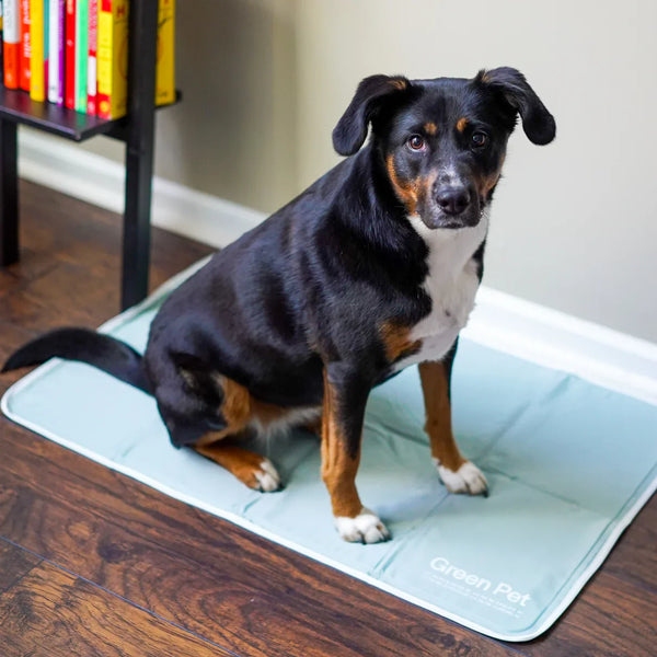 Cooling Pet Pad – No Freezing or Electricity