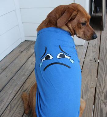 Sad Face Dog Shirt - Nautical Blue
