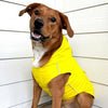 Slicker Raincoat with Striped Lining - Yellow