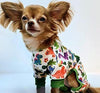 Soft Dog Pajamas - Dinos
