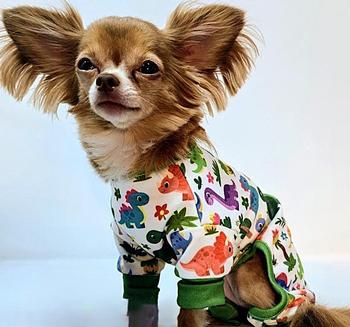 Soft Dog Pajamas - Dinos