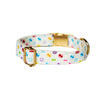 Eco Dog Collar – Adjustable & Recycled with Decorative Pattern
