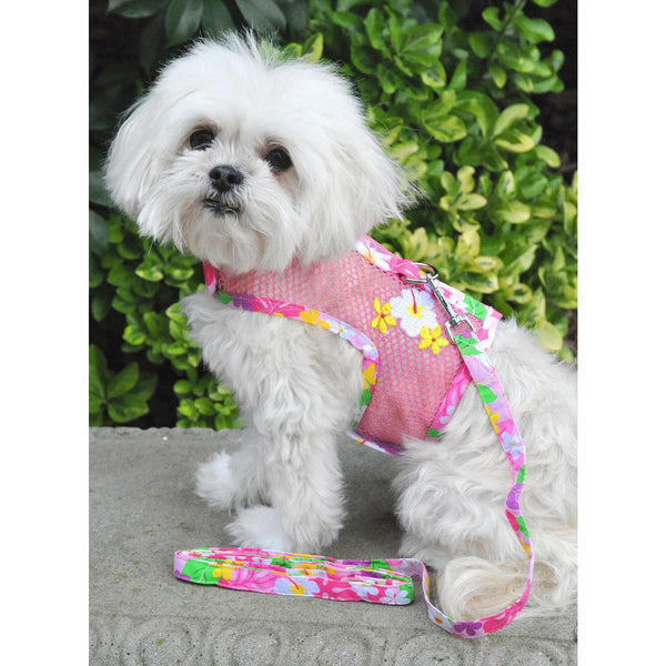 Step-In Dog Harness & Leash Set – Lightweight Mesh Choke-Free