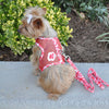 Step-In Dog Harness & Leash Set – Lightweight Mesh Choke-Free