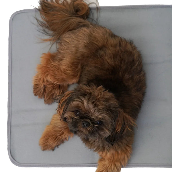 Washable Warming Pet Pad – No Plug Needed