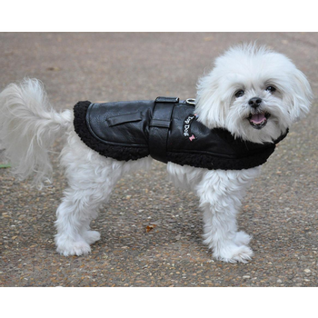 Top Dog Flight Harness Coat by Doggie Design - Black