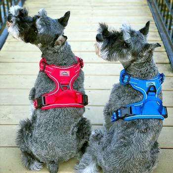 Venture Paw Pull Control Dog Harness - Crimson