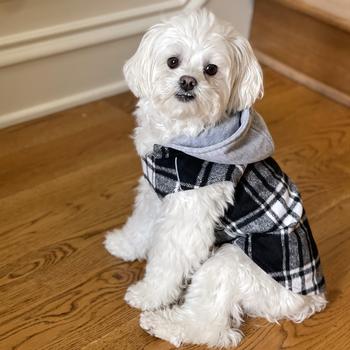 Weekender Hoodie - Black & White Plaid Flannel