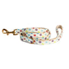 Eco Dog Leash – Recycled & Decorative