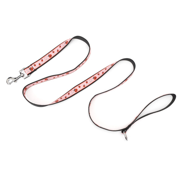 Ladybug Walk Set – Collar & Leash