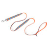 Foxy Lead