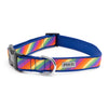 Rainbow Collar