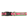 Ribbit Collar