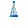 Birthday Party Hat