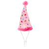 Birthday Party Hat