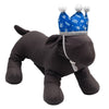 Birthday King Crown