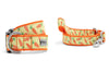 Crazy Carrots Walk Set – Collar & Leash