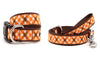 Fall Check Walk Set – Collar & Leash