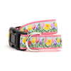 Hello Spring Collar