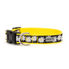 Lazy Daisy Collar