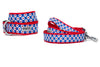 Daisies Walk Set – Collar & Leash