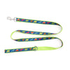 Dino Lead