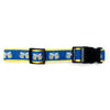 Cheers! Collar