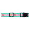 Flip Flops Walk Set – Collar & Leash