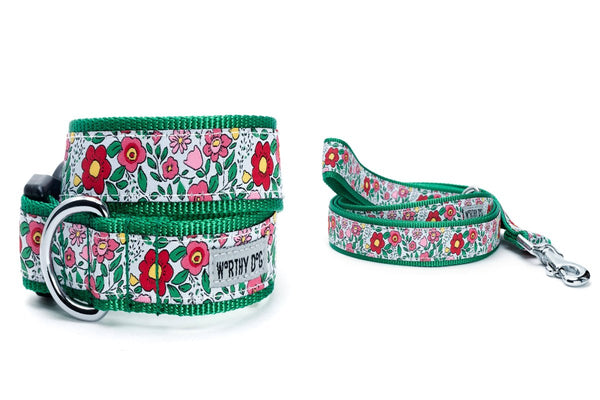Spring Garden Walk Set – Collar & Leash