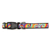 Kaleidoscope Collar