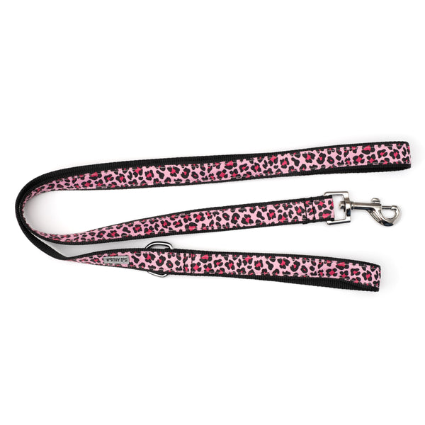 Leopard Walk Set – Collar & Leash