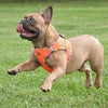 American River Choke Free Harness Hawaiian Trim - Sunset Orange
