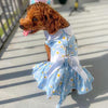Blue Daisy Dog Dress with Matching Leash