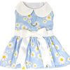 Blue Daisy Dog Dress with Matching Leash