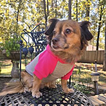Color-Block Hoodie - Pink on Gray