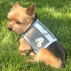 Cool Mesh Dog Harness with Leash - Blue Daisy
