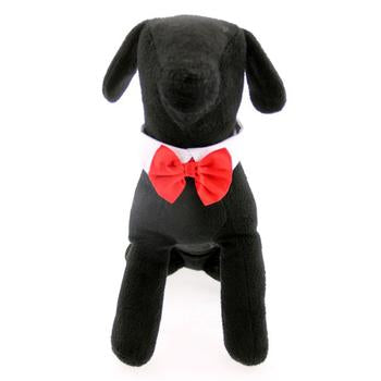 White Collar Bow Tie Set with 4 Interchangeable Bows