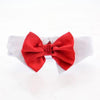 White Collar Bow Tie Set with 4 Interchangeable Bows