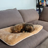 Crazy Warm Pet Bed – Self-Warming Orthopedic Pad for Dogs & Cats